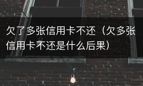 欠了多张信用卡不还（欠多张信用卡不还是什么后果）