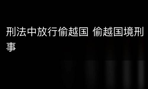 刑法中放行偷越国 偷越国境刑事