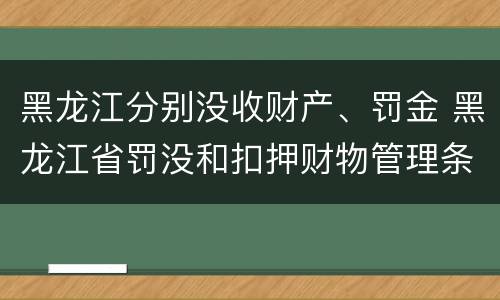 黑龙江分别没收财产、罚金 黑龙江省罚没和扣押财物管理条例
