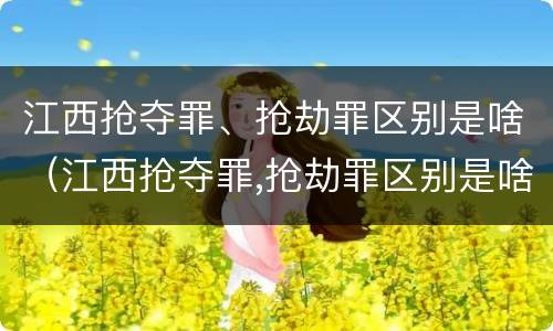 江西抢夺罪、抢劫罪区别是啥（江西抢夺罪,抢劫罪区别是啥啊）