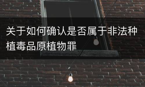 关于如何确认是否属于非法种植毒品原植物罪