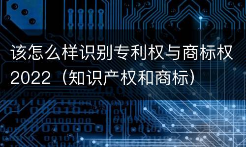 该怎么样识别专利权与商标权2022（知识产权和商标）