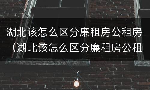 湖北该怎么区分廉租房公租房（湖北该怎么区分廉租房公租房和私租房）