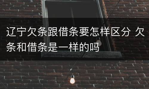 辽宁欠条跟借条要怎样区分 欠条和借条是一样的吗