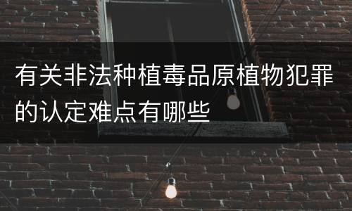 有关非法种植毒品原植物犯罪的认定难点有哪些