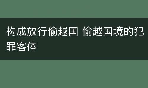 构成放行偷越国 偷越国境的犯罪客体