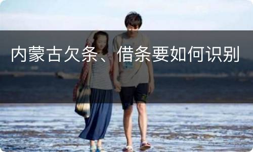 内蒙古欠条、借条要如何识别