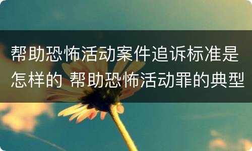 帮助恐怖活动案件追诉标准是怎样的 帮助恐怖活动罪的典型案例