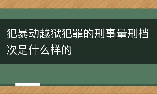 犯暴动越狱犯罪的刑事量刑档次是什么样的