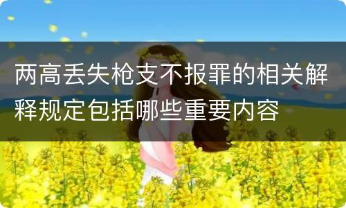 两高丢失枪支不报罪的相关解释规定包括哪些重要内容