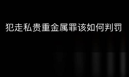 犯走私贵重金属罪该如何判罚