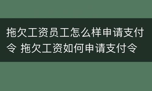 拖欠工资员工怎么样申请支付令 拖欠工资如何申请支付令