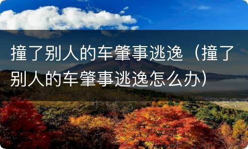 撞了别人的车肇事逃逸（撞了别人的车肇事逃逸怎么办）