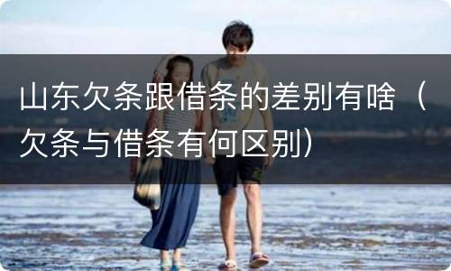 山东欠条跟借条的差别有啥（欠条与借条有何区别）
