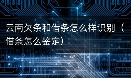云南欠条和借条怎么样识别（借条怎么鉴定）