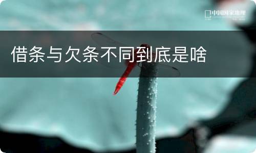借条与欠条不同到底是啥