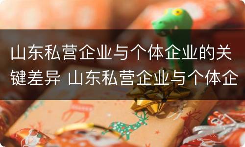 山东私营企业与个体企业的关键差异 山东私营企业与个体企业的关键差异是什么
