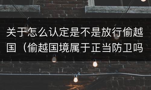 关于怎么认定是不是放行偷越国（偷越国境属于正当防卫吗）