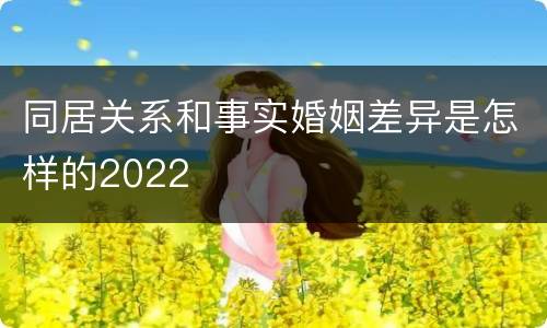 同居关系和事实婚姻差异是怎样的2022