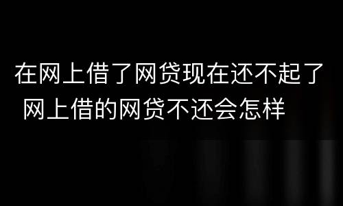 在网上借了网贷现在还不起了 网上借的网贷不还会怎样