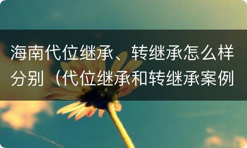 海南代位继承、转继承怎么样分别（代位继承和转继承案例分析）