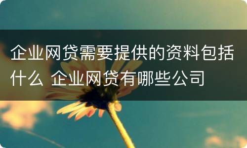 企业网贷需要提供的资料包括什么 企业网贷有哪些公司