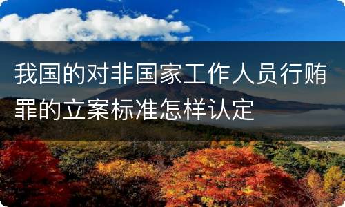 我国的对非国家工作人员行贿罪的立案标准怎样认定