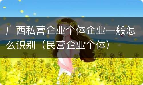 广西私营企业个体企业一般怎么识别（民营企业个体）