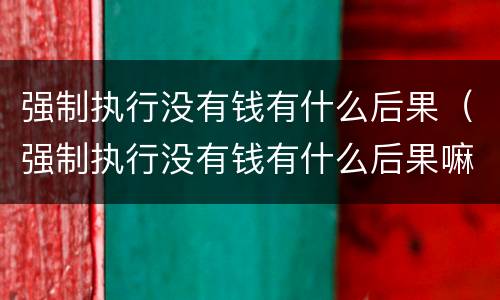 强制执行没有钱有什么后果（强制执行没有钱有什么后果嘛）