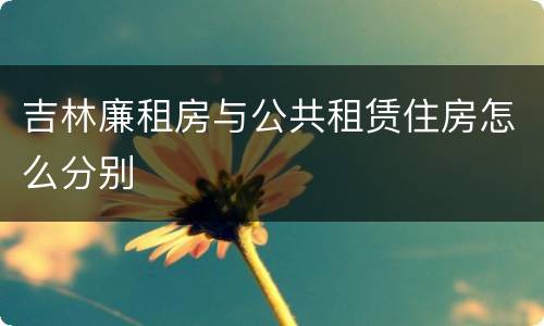 吉林廉租房与公共租赁住房怎么分别