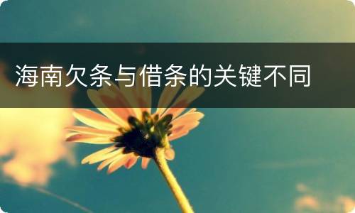 海南欠条与借条的关键不同