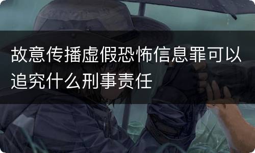 故意传播虚假恐怖信息罪可以追究什么刑事责任