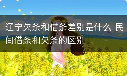 辽宁欠条和借条差别是什么 民间借条和欠条的区别