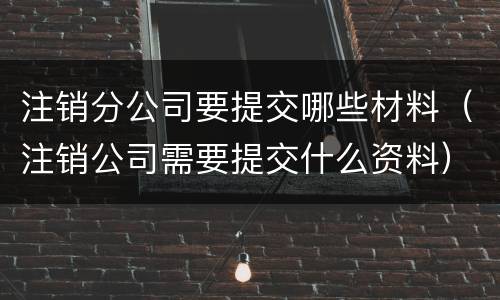 注销分公司要提交哪些材料（注销公司需要提交什么资料）
