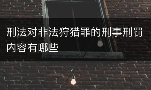 刑法对非法狩猎罪的刑事刑罚内容有哪些