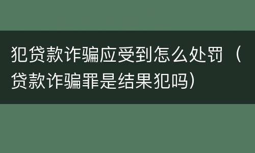 犯贷款诈骗应受到怎么处罚（贷款诈骗罪是结果犯吗）