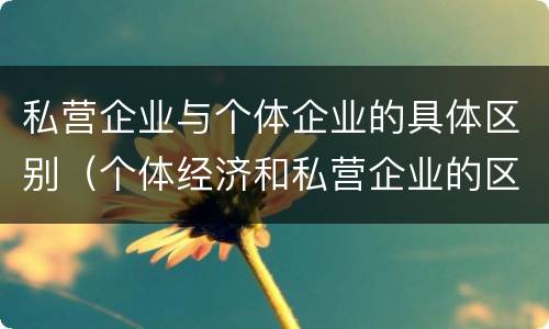 私营企业与个体企业的具体区别（个体经济和私营企业的区别）