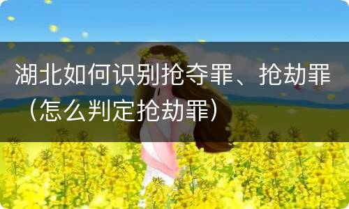 湖北如何识别抢夺罪、抢劫罪（怎么判定抢劫罪）