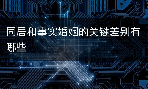 同居和事实婚姻的关键差别有哪些