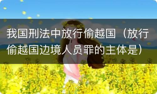 我国刑法中放行偷越国（放行偷越国边境人员罪的主体是）