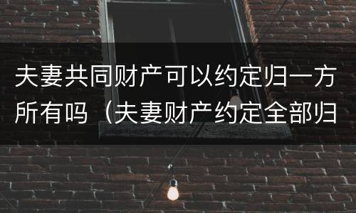 夫妻共同财产可以约定归一方所有吗（夫妻财产约定全部归一方所有）