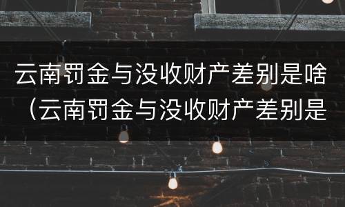 云南罚金与没收财产差别是啥（云南罚金与没收财产差别是啥呢）