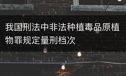 我国刑法中非法种植毒品原植物罪规定量刑档次