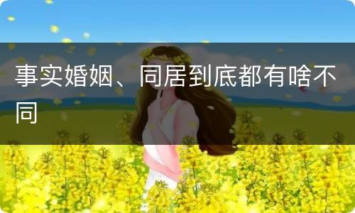 事实婚姻、同居到底都有啥不同