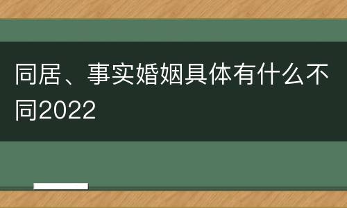 同居、事实婚姻具体有什么不同2022