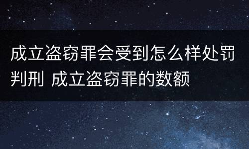 成立盗窃罪会受到怎么样处罚判刑 成立盗窃罪的数额