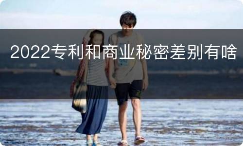 2022专利和商业秘密差别有啥