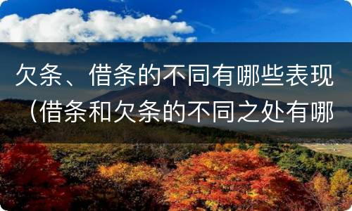 欠条、借条的不同有哪些表现（借条和欠条的不同之处有哪些）