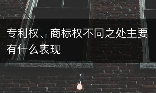 专利权、商标权不同之处主要有什么表现