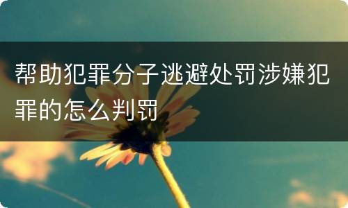 帮助犯罪分子逃避处罚涉嫌犯罪的怎么判罚